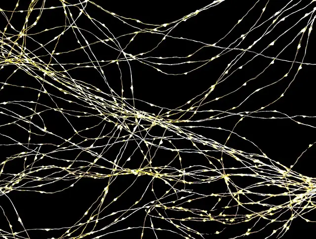 Die 10 besten Tipps für erfolgreiches Networking im digitalen Raum